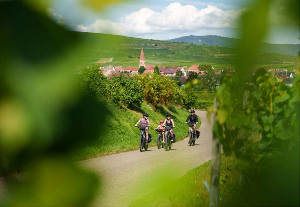 Location de vélos à Kaysersberg dans le haut rhin
