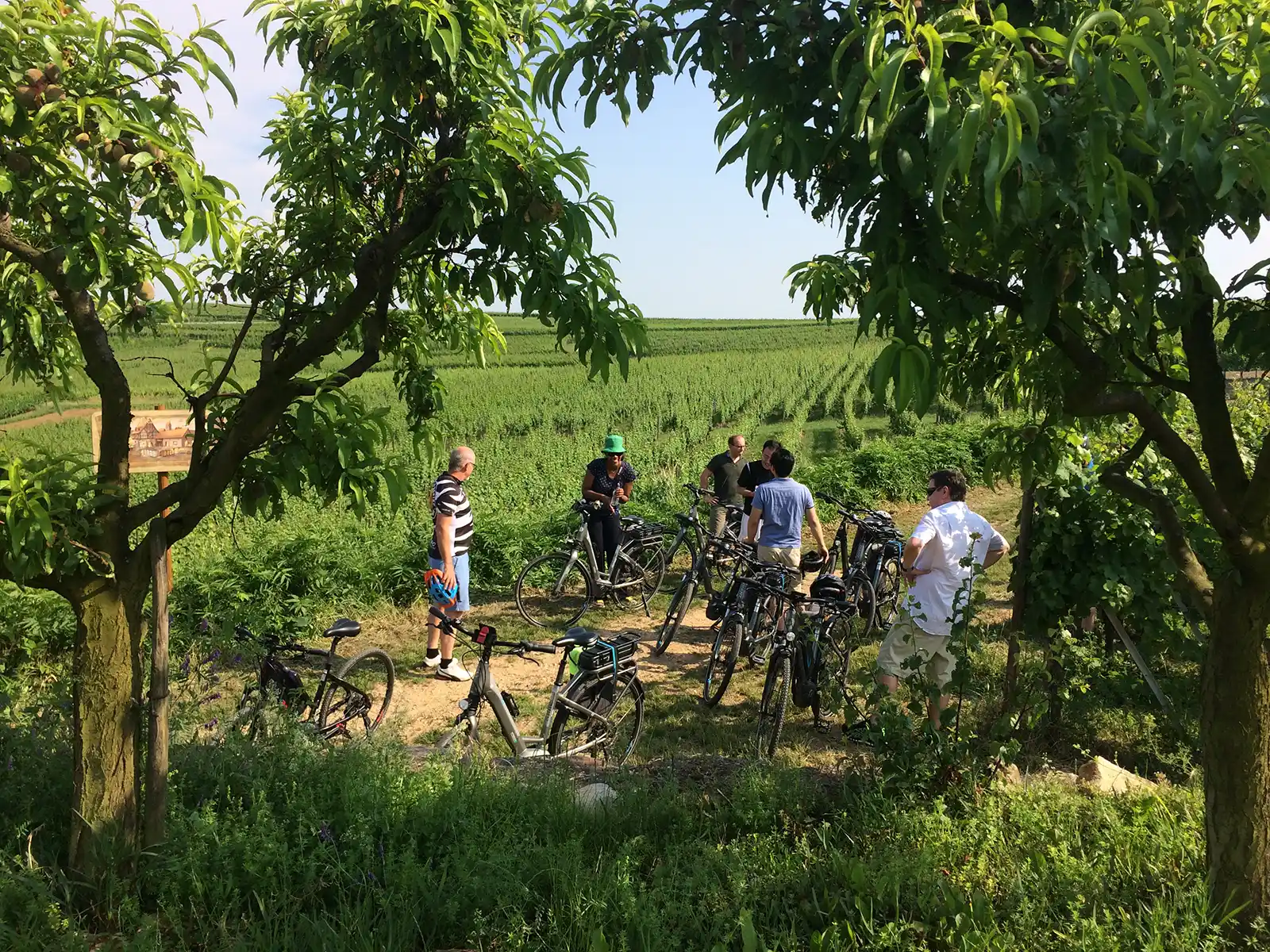 Séjour 4–5 jours – L’Alsace Authentique