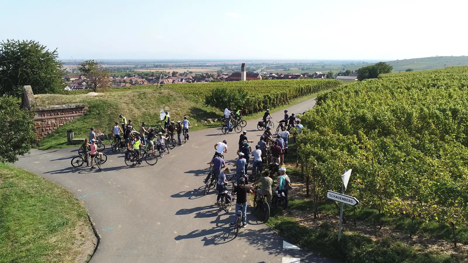 Tours guidé dans le vignoble Alsacien