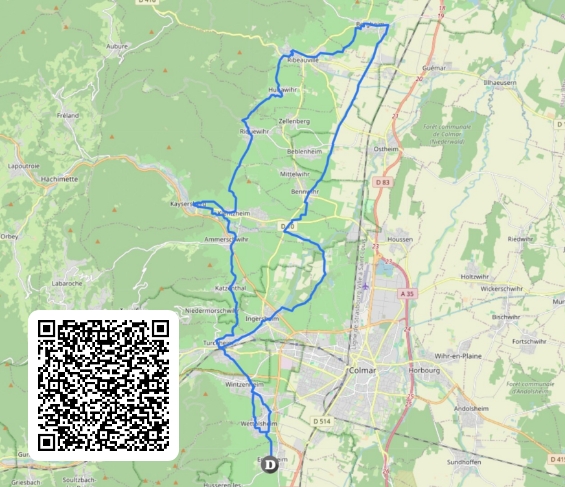 Eguisheim - Ribeauvillé