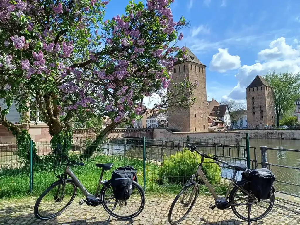 Présentation le Giant Entour, notre vélo d’occasion adapté à vos trajets de tous les jours en Alsace, Haut-Rhin
