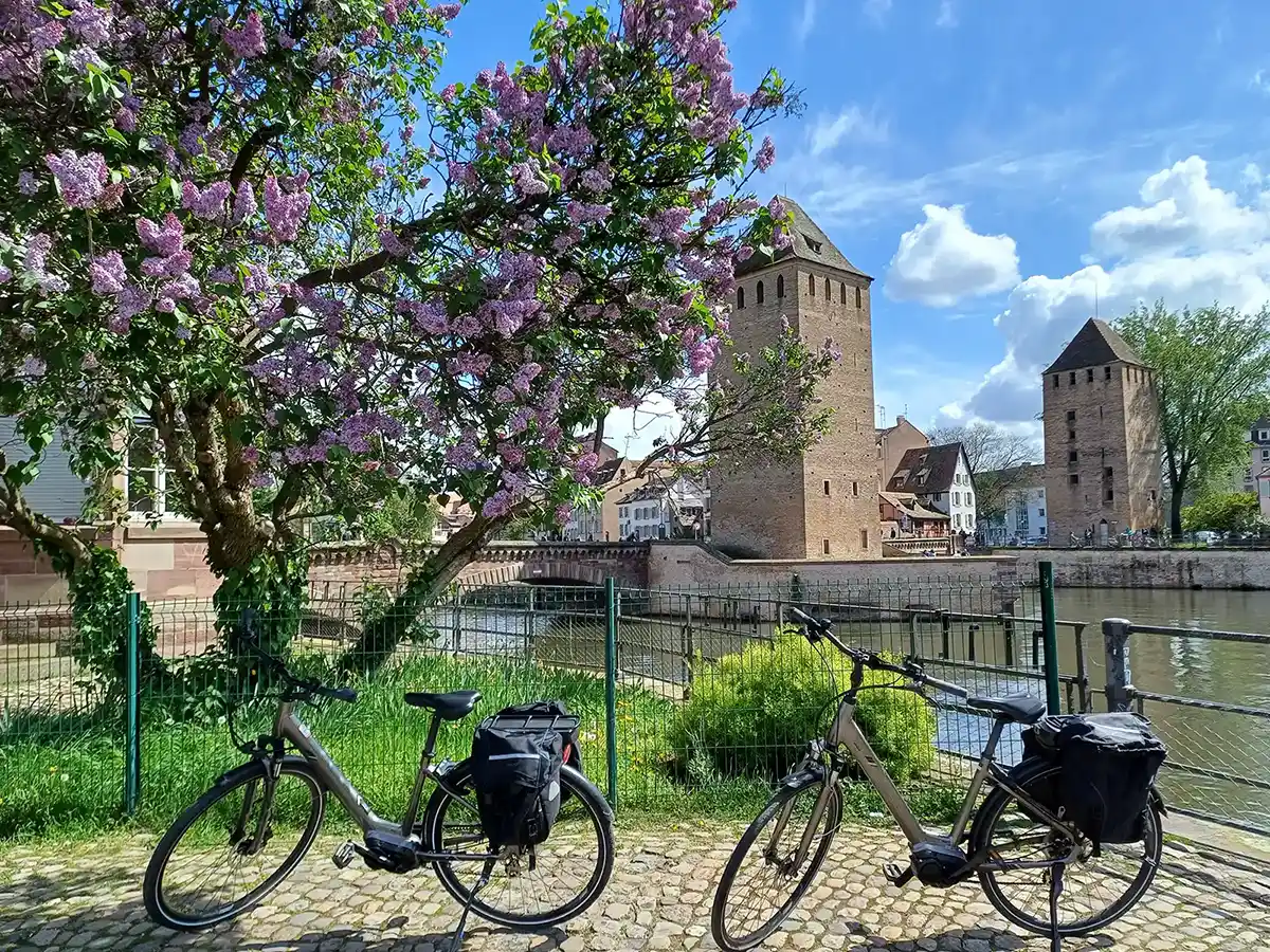 Présentation le Giant Entour, notre vélo d’occasion adapté à vos trajets de tous les jours en Alsace, Haut-Rhin